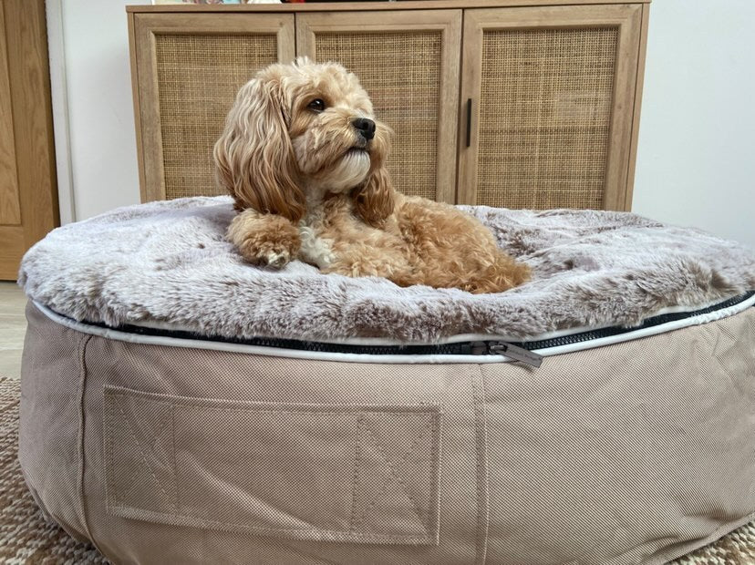 Luxury puppy beds best sale