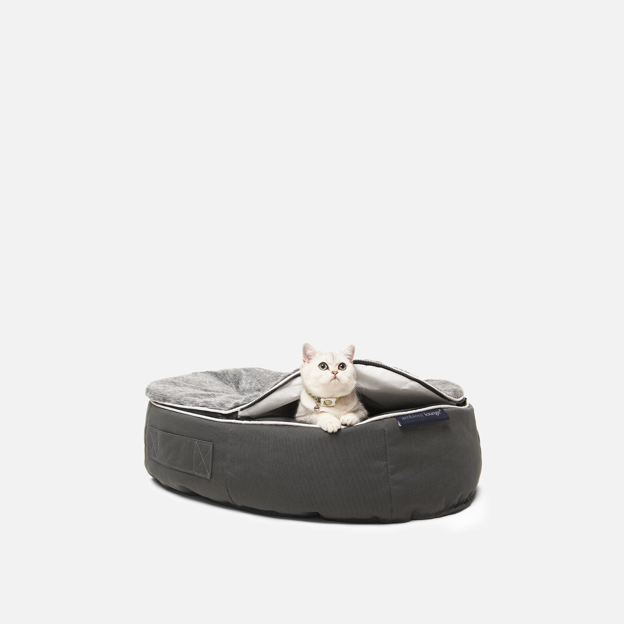 Easy clean cat bed hotsell