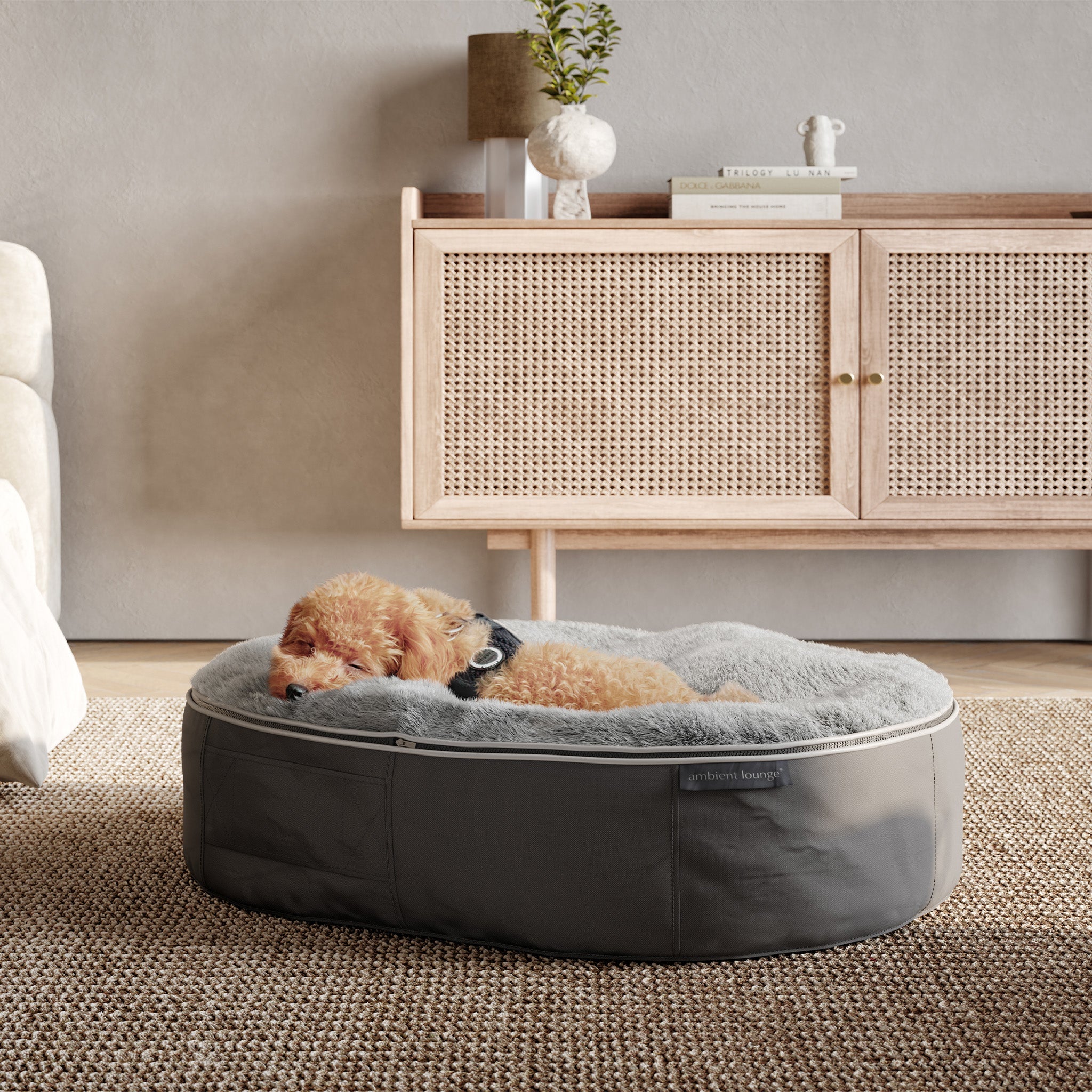 Medium Luxury Dog Bed Interior Outdoor Pet Furniture Ambient Lounge UK