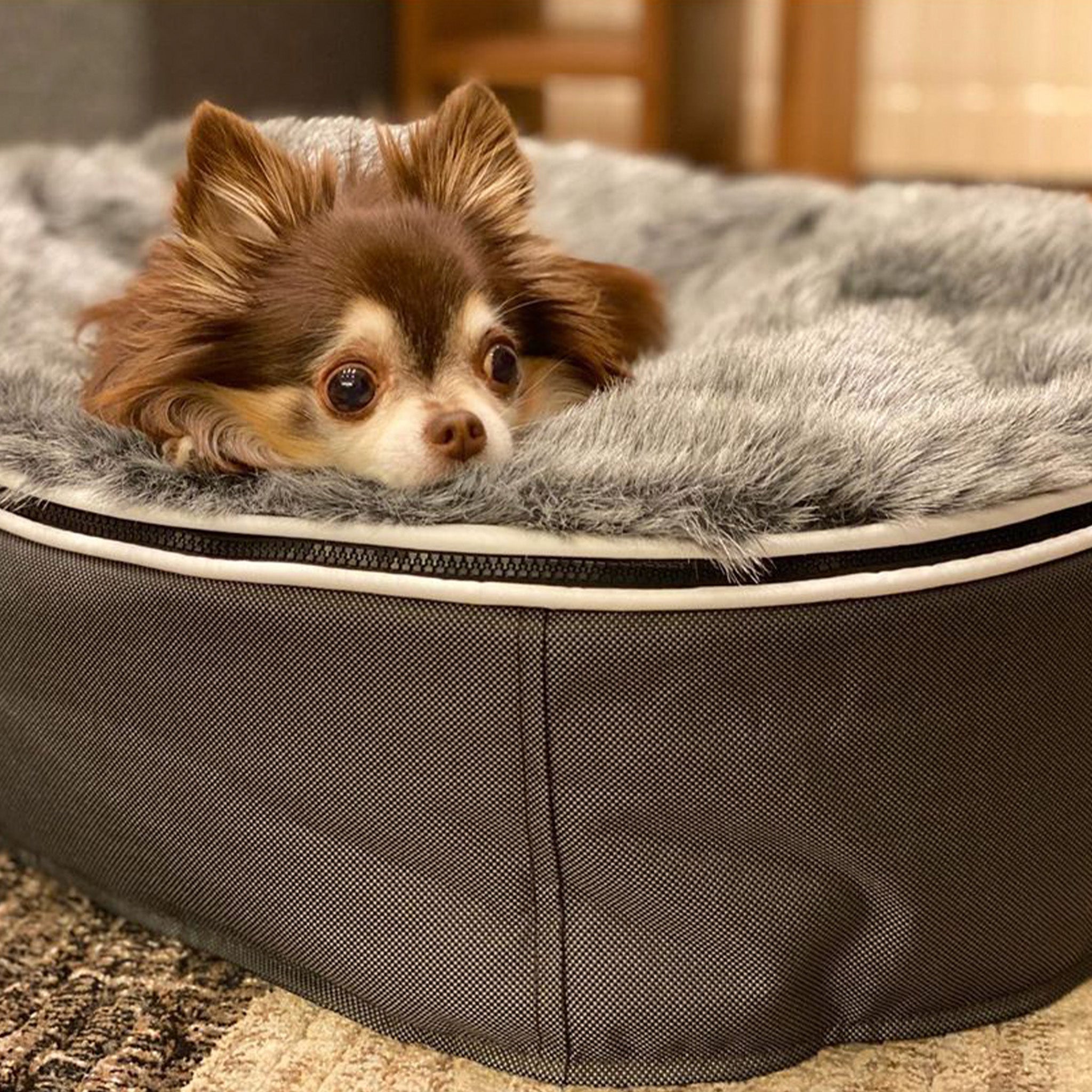 Small Luxury Dog Bed Interior Outdoor Original Cover Micro Bead Filling System