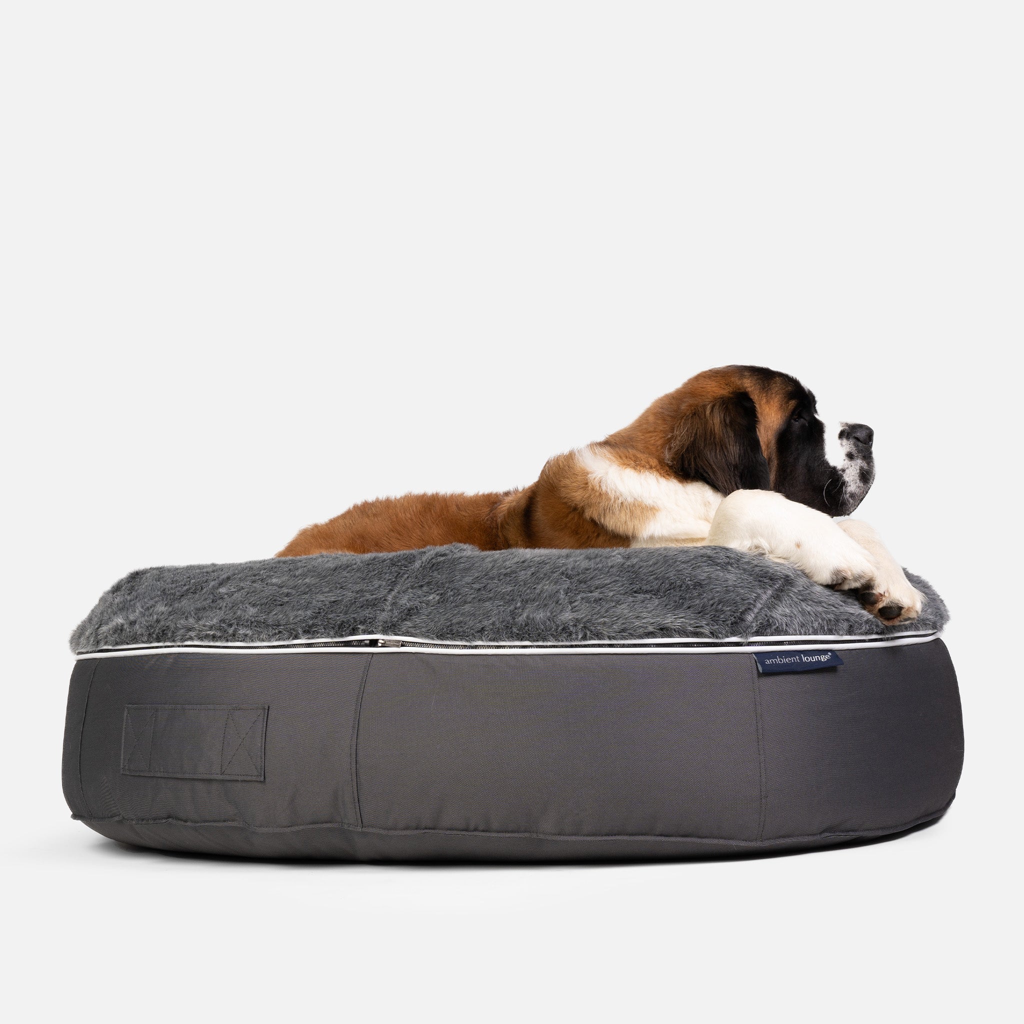 Extra large luxury dog beds hotsell