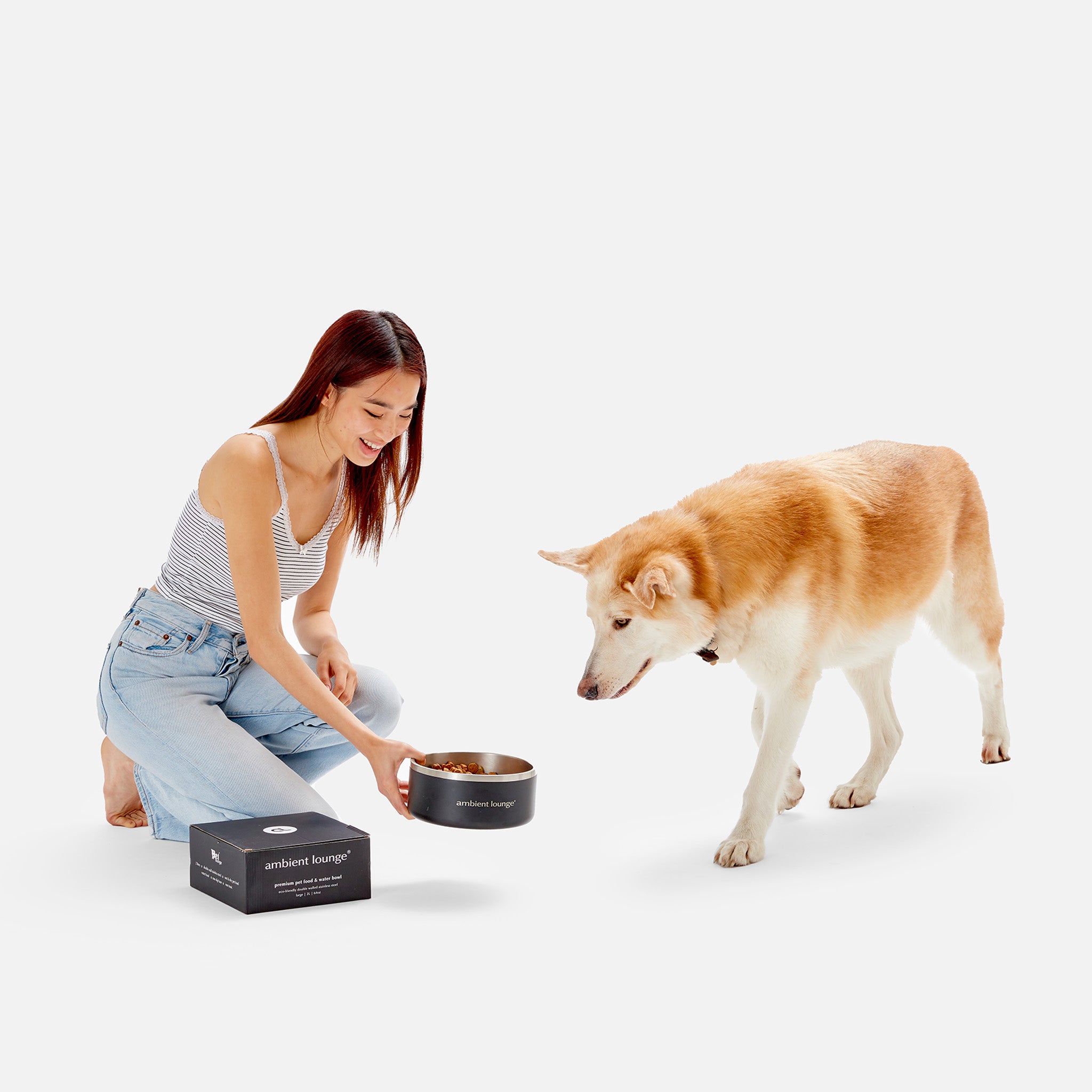 2L Double Wall Stainless Steel Food Water Dog Bowl Ambient Lounge UK