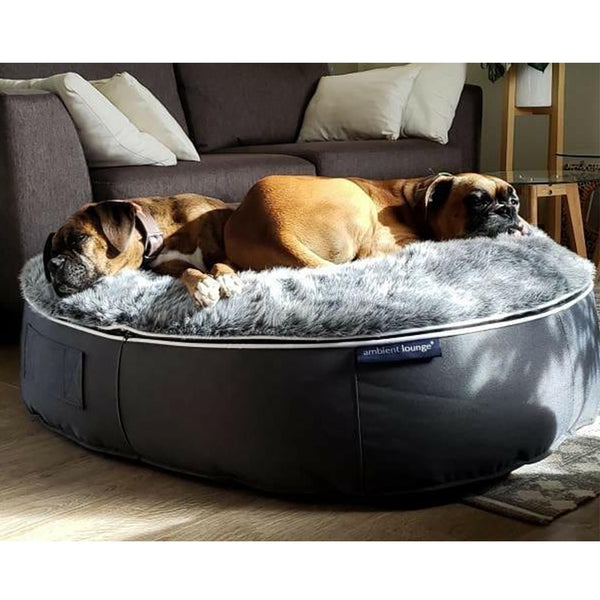 Dog Bed - Pet Lounger - Designer Dog Bean Bags | Large size | Ambient ...